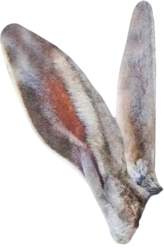 Wilde Weide Festival screw