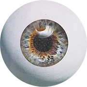 Wilde Weide Festival gum