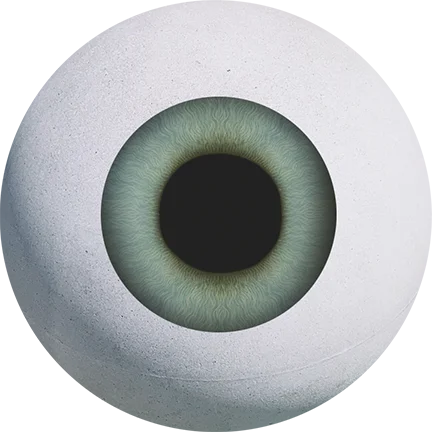 Wilde Weide Festival eye3