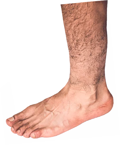 Wilde Weide Festival gum