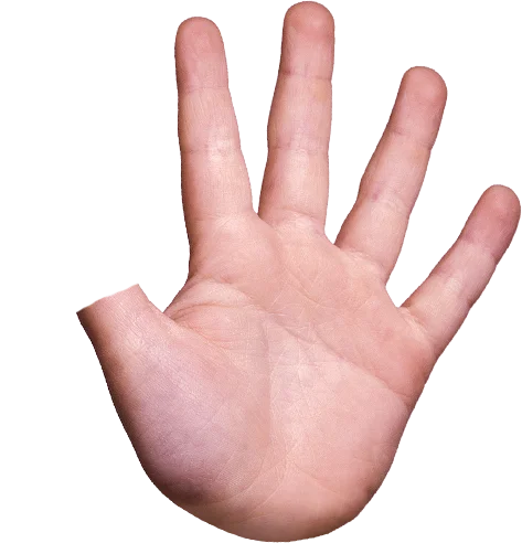 Wilde Weide Festival duck hand