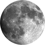 Wilde Weide Festival gum