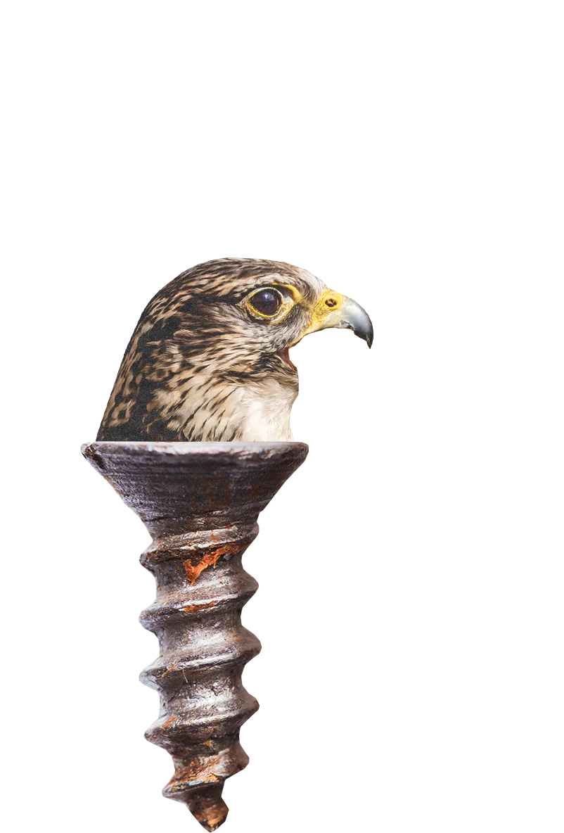 Wilde Weide Festival screw