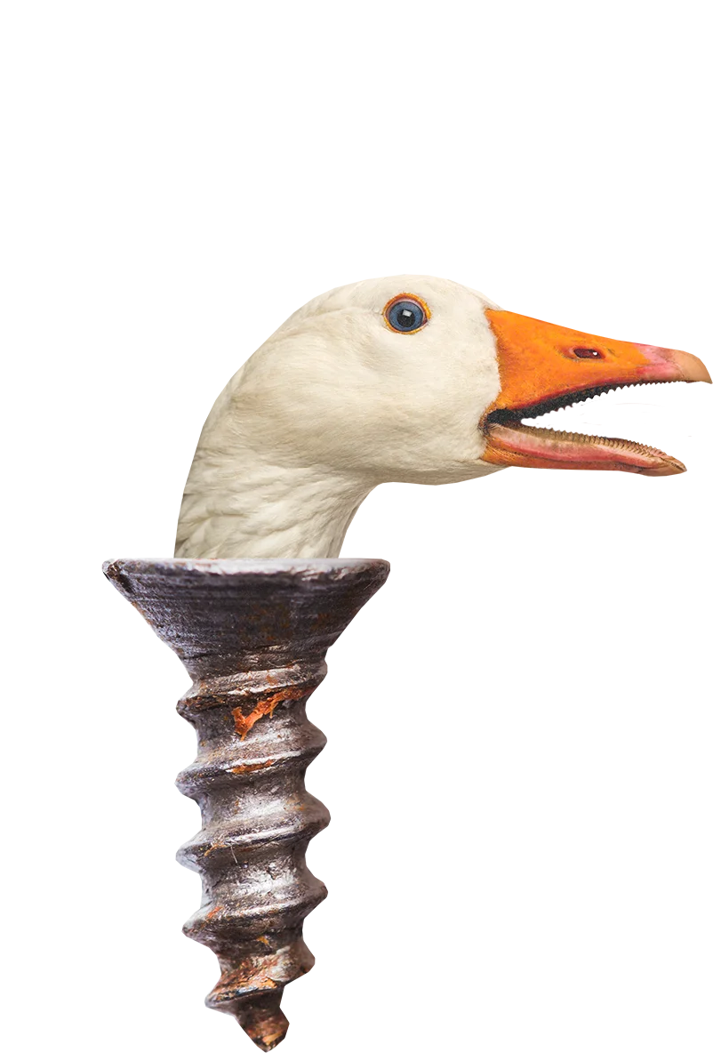 Wilde Weide Festival screw