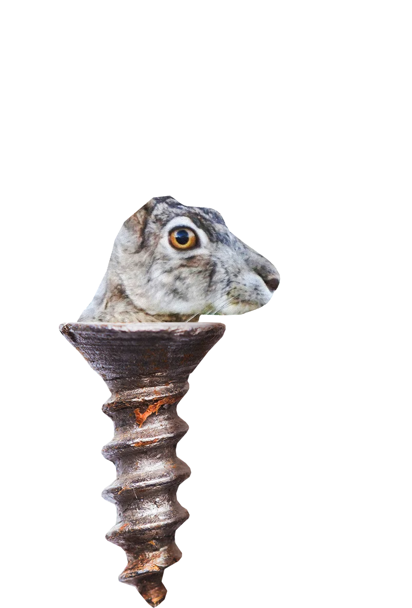 Wilde Weide Festival screw