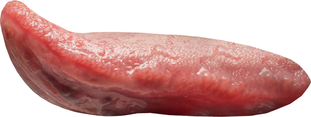 Wilde Weide Festival supersoaker