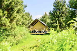 Wilde Weide Festival - 1. _dsc6146