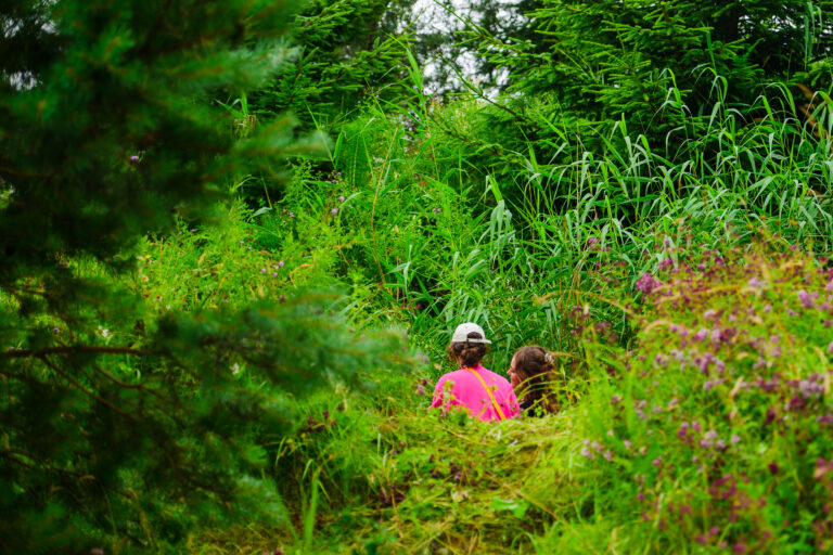 Wilde Weide Festival - _dsc4909