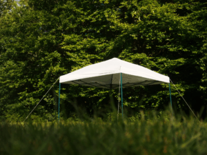 Wilde Weide Festival - Kopie-van-p5230810-scaled