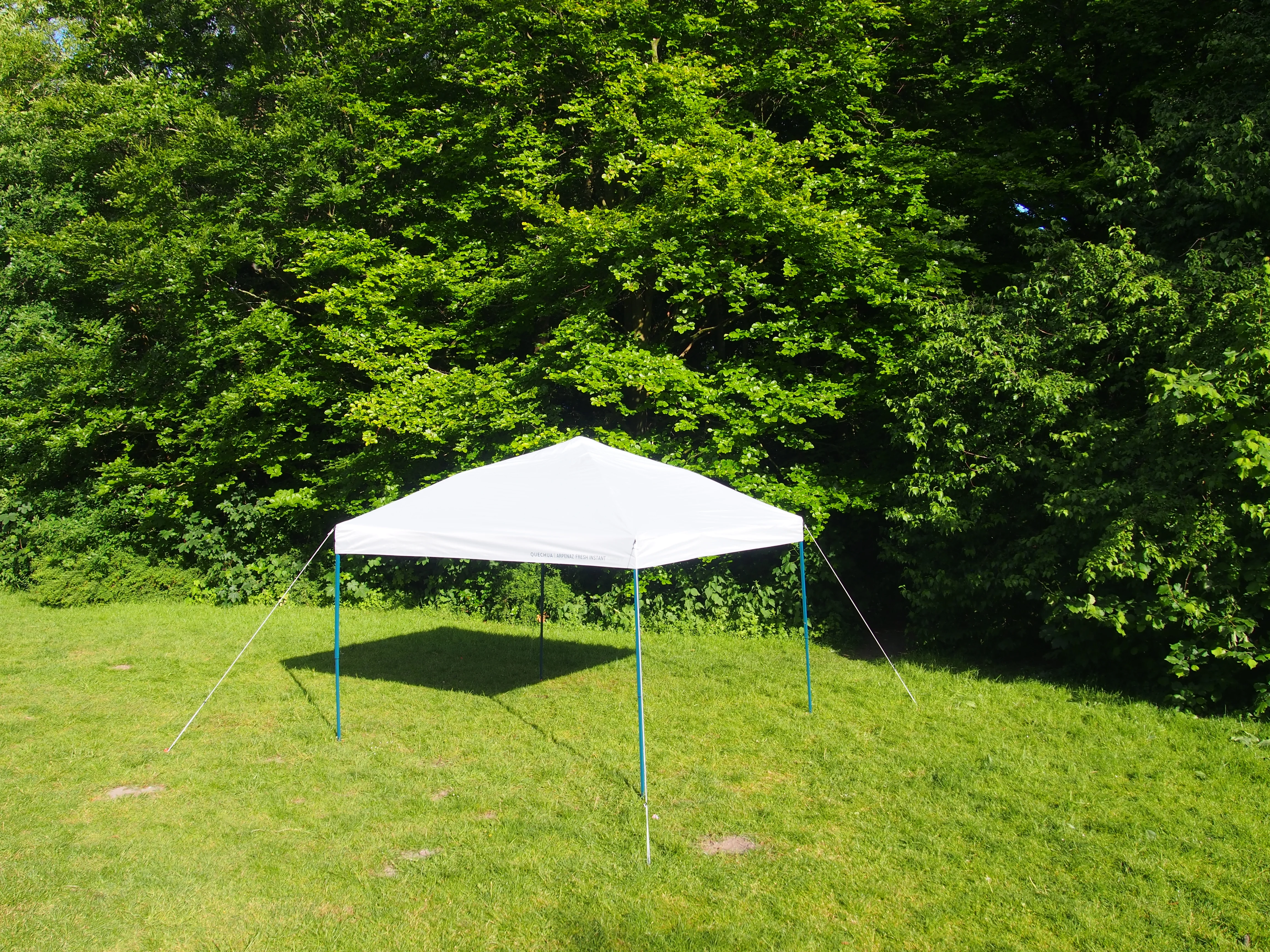 Wilde Weide Festival - Kopie-van-p5230858