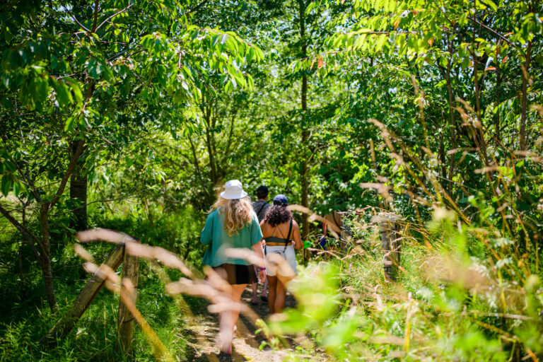 Wilde Weide Festival - _dcs2176