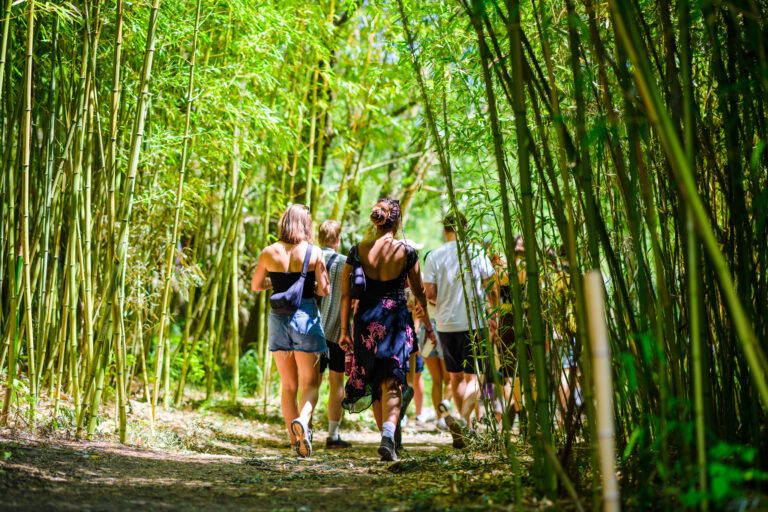 Wilde Weide Festival - Dsc_7776