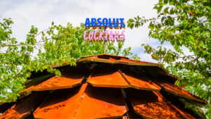 Wilde Weide Festival - Ww26 artiesten format website + creatieve partijen (11)