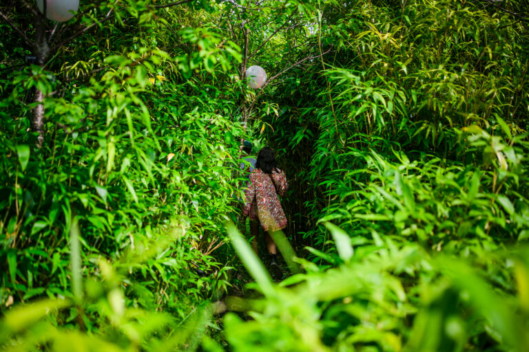 Wilde Weide Festival - Fotograafniels.nl