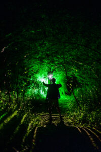 Wilde Weide Festival - Fotograafniels.nl