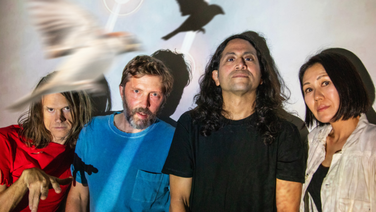 Wilde Weide Festival - Deerhoof