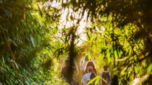 Wilde Weide Festival - 4